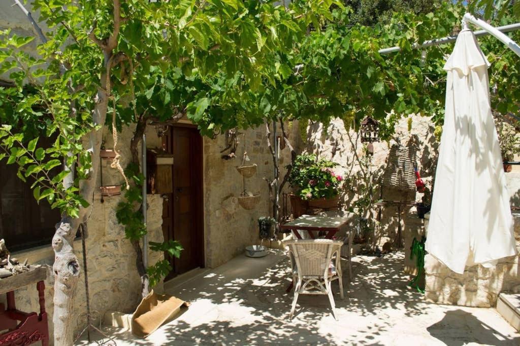 Petite Olive House Villa Sitia  Eksteriør billede